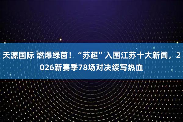 天源国际 燃爆绿茵！“苏超”入围江苏十大新闻，2026新赛季78场对决续写热血