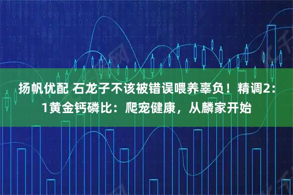 扬帆优配 石龙子不该被错误喂养辜负！精调2：1黄金钙磷比：爬宠健康，从麟家开始